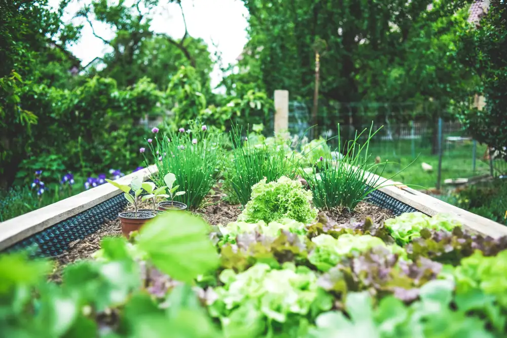 Garden Planning Meeting